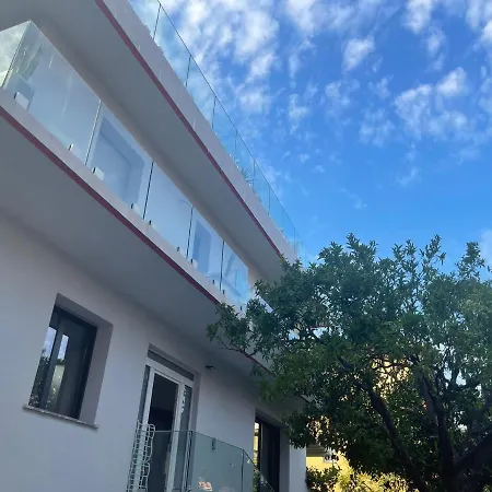 Albero della vita-2