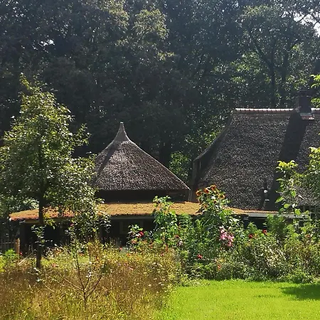 Bed & Breakfast Markelo-3
