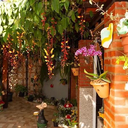 Pousada Casa Da Praia-2