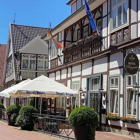 Hotel Hagspihl-3