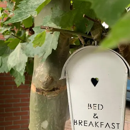 Bed&Breakfast aan de banis-3