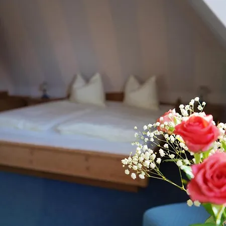 Corso-3