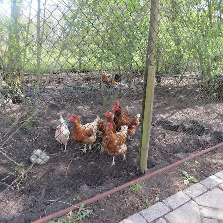B&B de Berghoeve-2