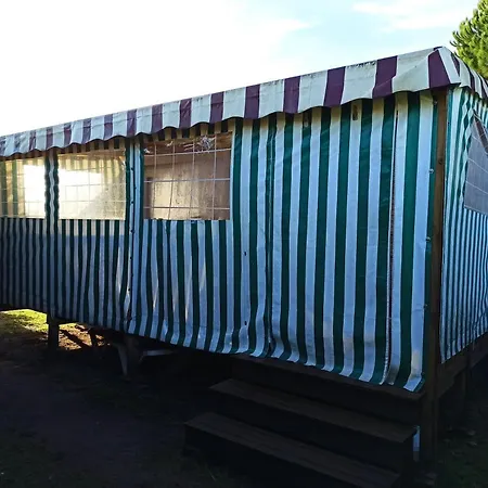 Mobilhome 433 La Palmyre-3