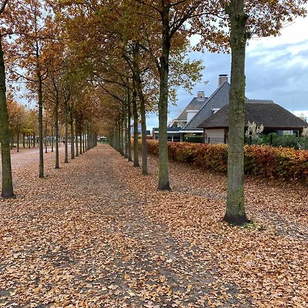 Vakantiehuisje Het Kiekje-2
