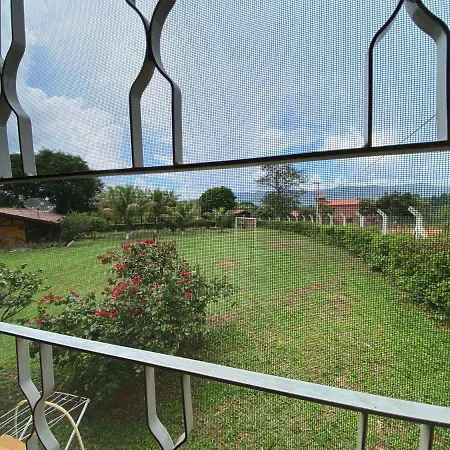 Família Busca-pé-3
