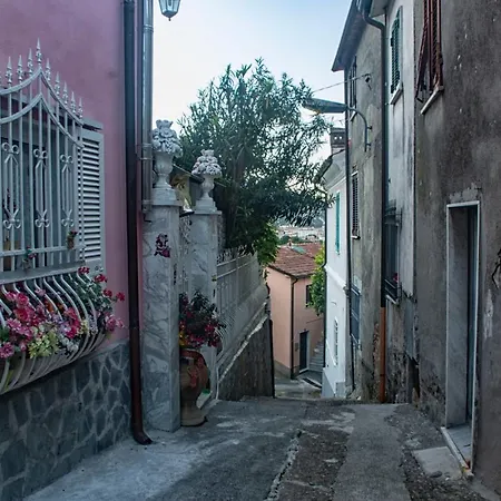 B&B La Foglia Verde-2