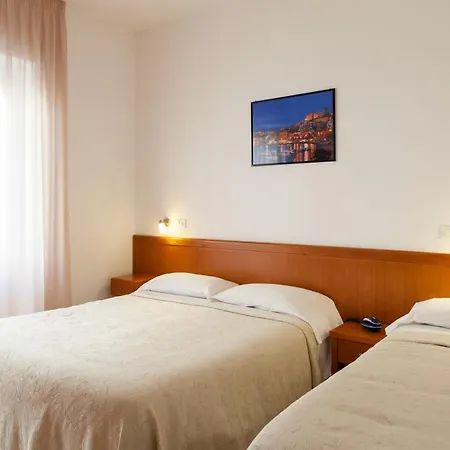 Hotel Viola-2