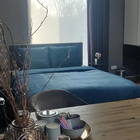 Bed&Wellness Boxtel, luxe kamer met airco en eigen badkamer-3