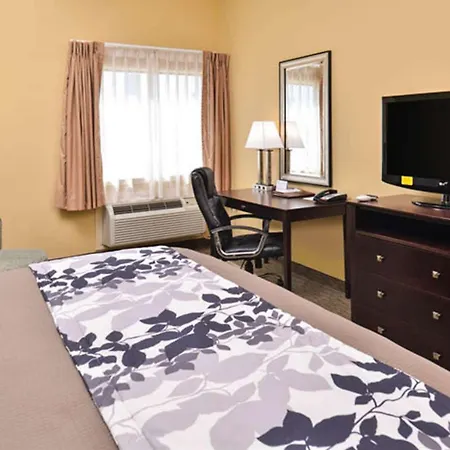 Sleep Inn & Suites Downtown Houston Near Convention Center-3