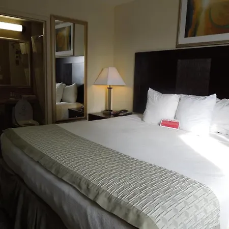 Royal Stay Hotel-2