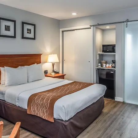 The Inn At 1252 Monterey-3