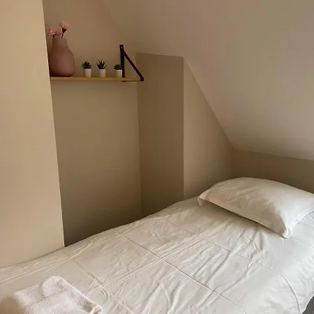 Maison des fleurs-3