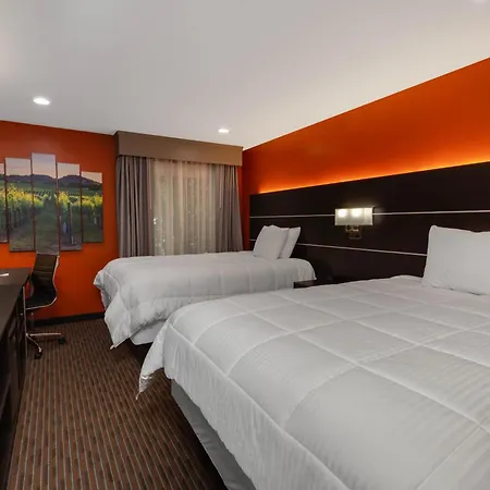 Hotel Vinea Healdsburg-2
