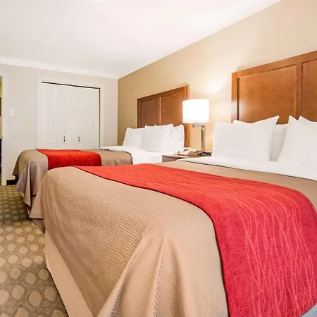 Comfort Inn Fallsview-2