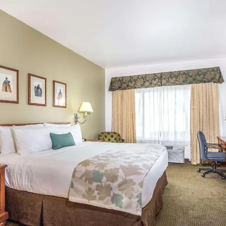 Hawthorn Suites By Wyndham Tempe/Mesa/Phoenix Area-3