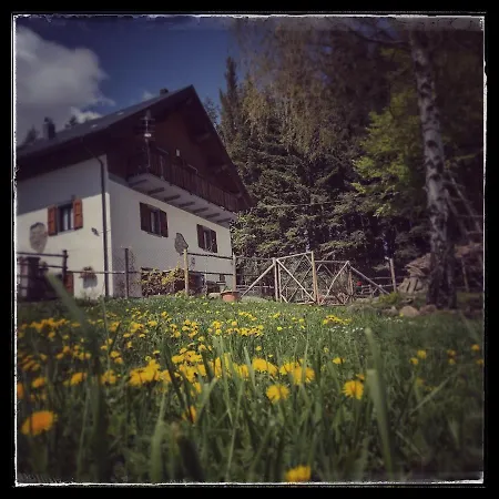 B&B Alle Betulle-3