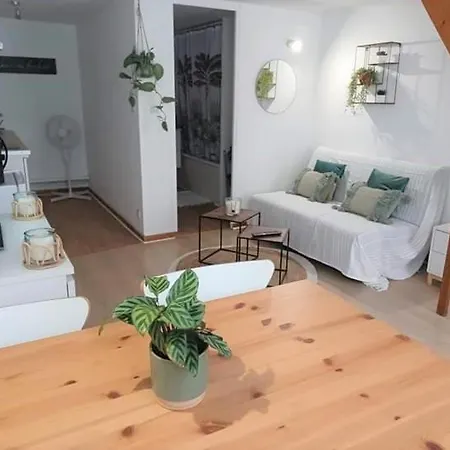 Duplex à la gare du Mans-2