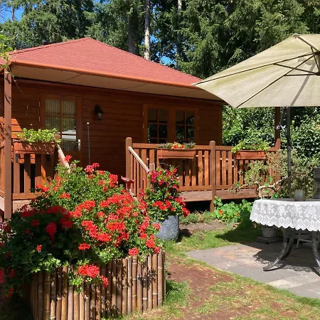 B&B Porcini-2