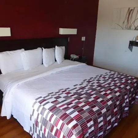 Red Roof Inn St Louis - Florissant-3