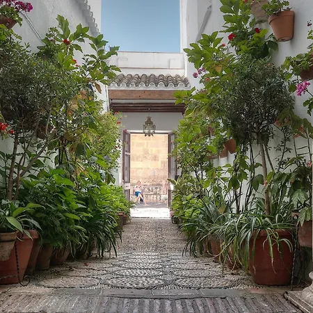 Los Patios-3