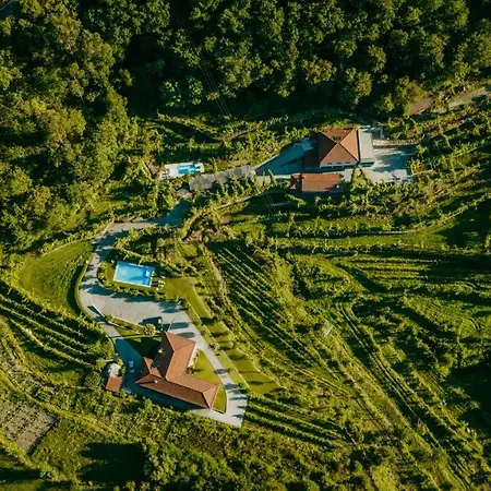 Casa Da Adega - Quinta Da Portela-2