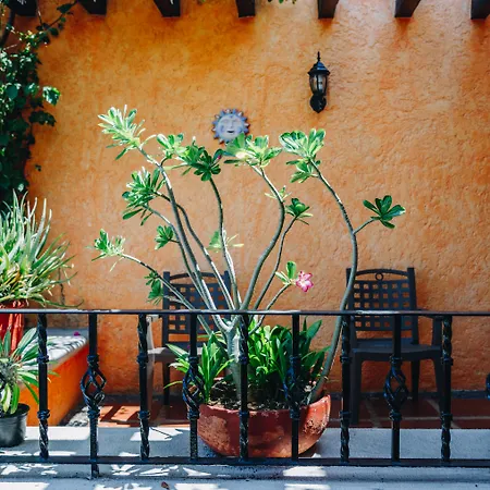 Hotel Lunata - 5Th Avenue (Adults Only)-3