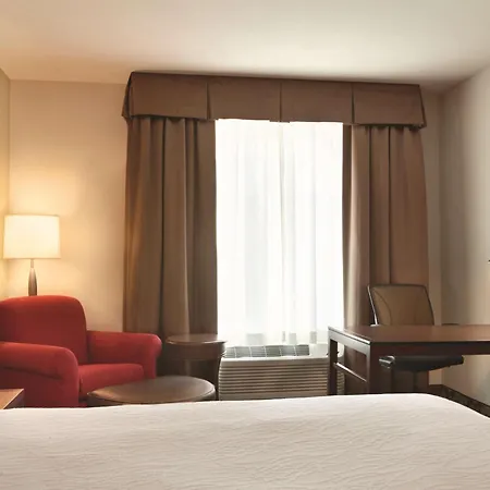 Hilton Garden Inn Boston Logan Airport-3