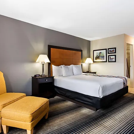 Best Western Plus Hyde Park Chicago Hotel-3