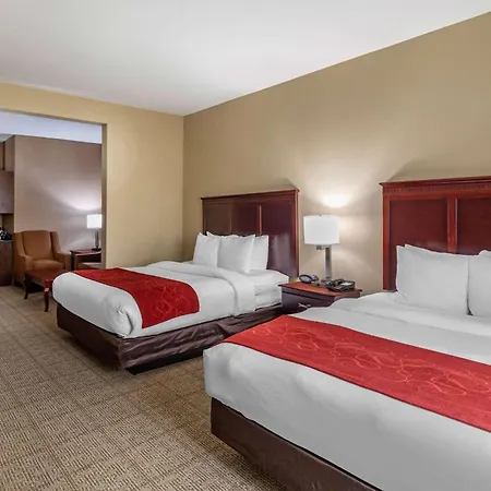 Comfort Suites Ennis-3