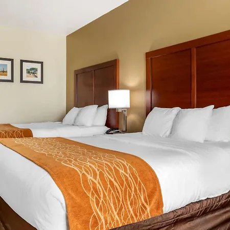 Comfort Inn Near Unt-3