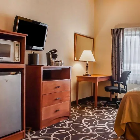 Quality Hotel & Suites At The Falls-3