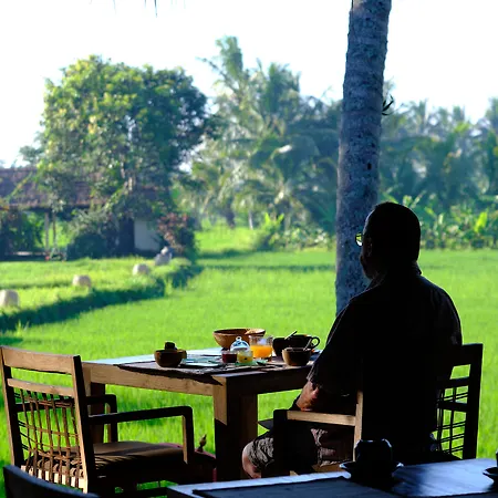 Mathis Retreat Ubud-3
