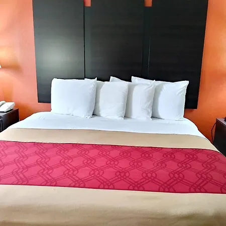 Econo Lodge Rome South-2