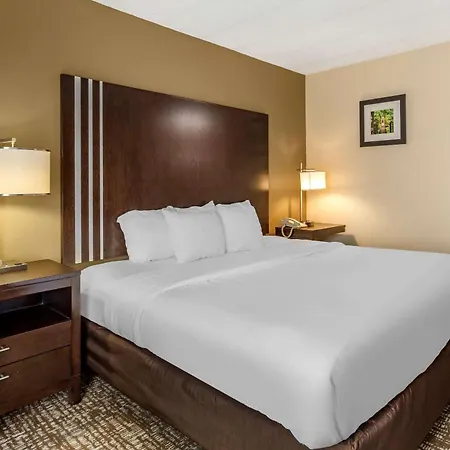 Comfort Inn Paducah I-24-3
