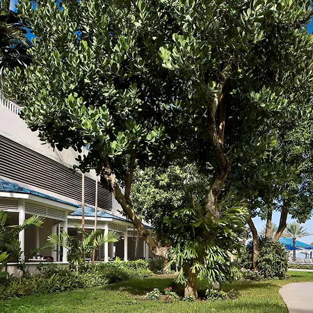 Melia Nassau Beach-3