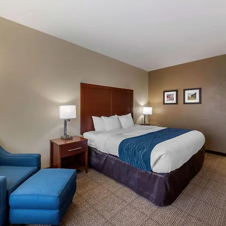 Comfort Inn & Suites Northern Kentucky-3
