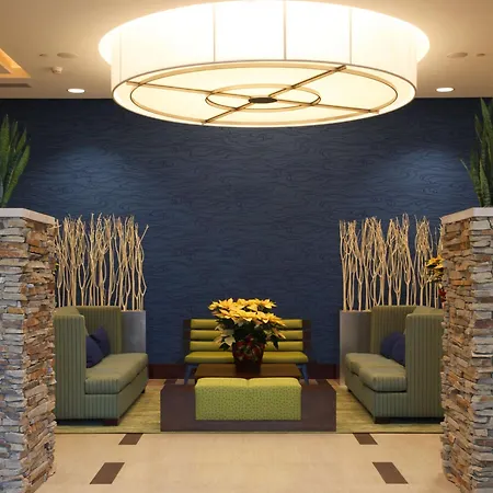 Embassy Suites By Hilton Denver Downtown Convention Center-3