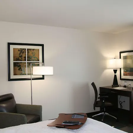 Hampton Inn Anderson/Alliance Business Park-2