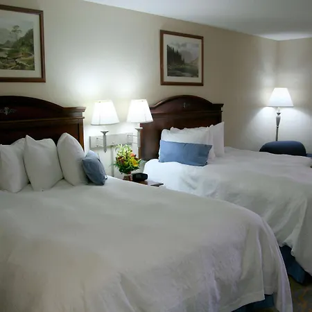 Surestay Plus By Best Western Cheyenne-2