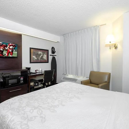 Red Roof Inn Plus+ Palm Coast-3