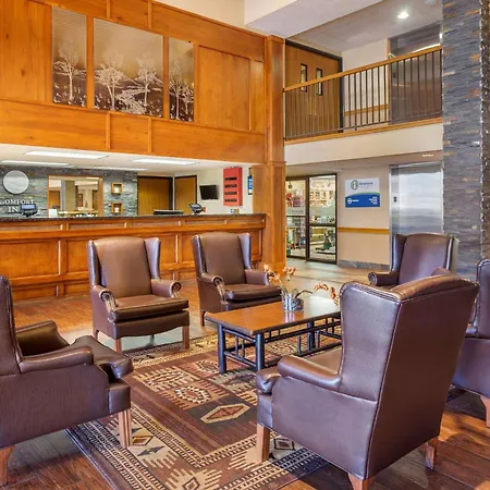 Comfort Inn At Thousand Hills-3