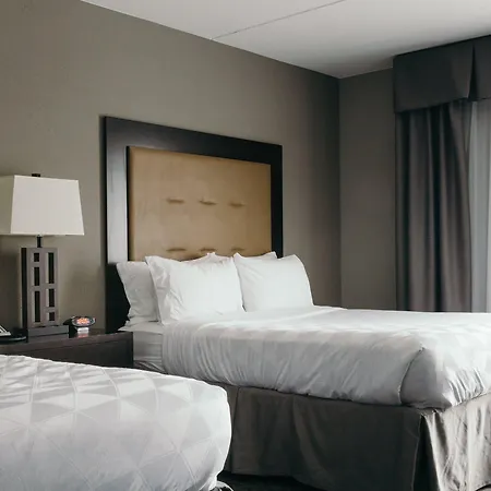 Holiday Inn And Suites East Peoria By Ihg-3
