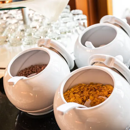 Gaia Hotel Basel - The Sustainable 4 Star Hotel-2