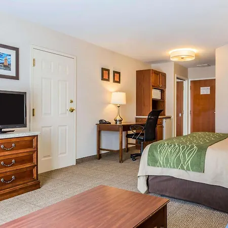 Comfort Inn & Suites South Burlington Near University-2