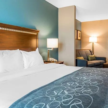 Comfort Suites Fairview Heights Saint Louis-2