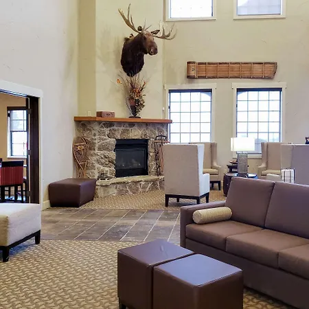 Comfort Inn & Suites Macon-3