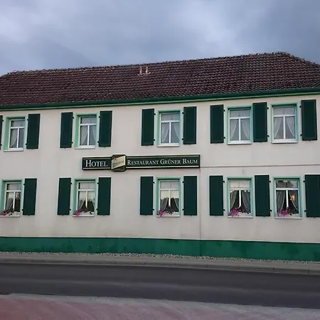Hotel Grüner Baum-2