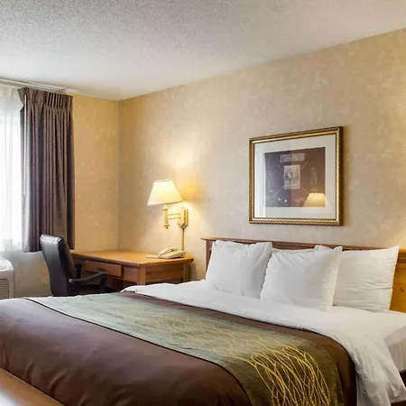 Quality Inn Brandon - Sioux Falls-3