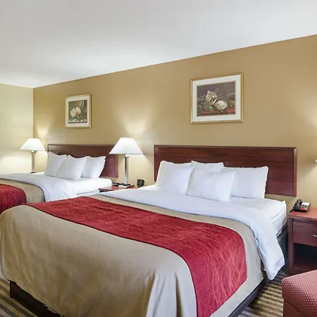 Comfort Inn New River-3